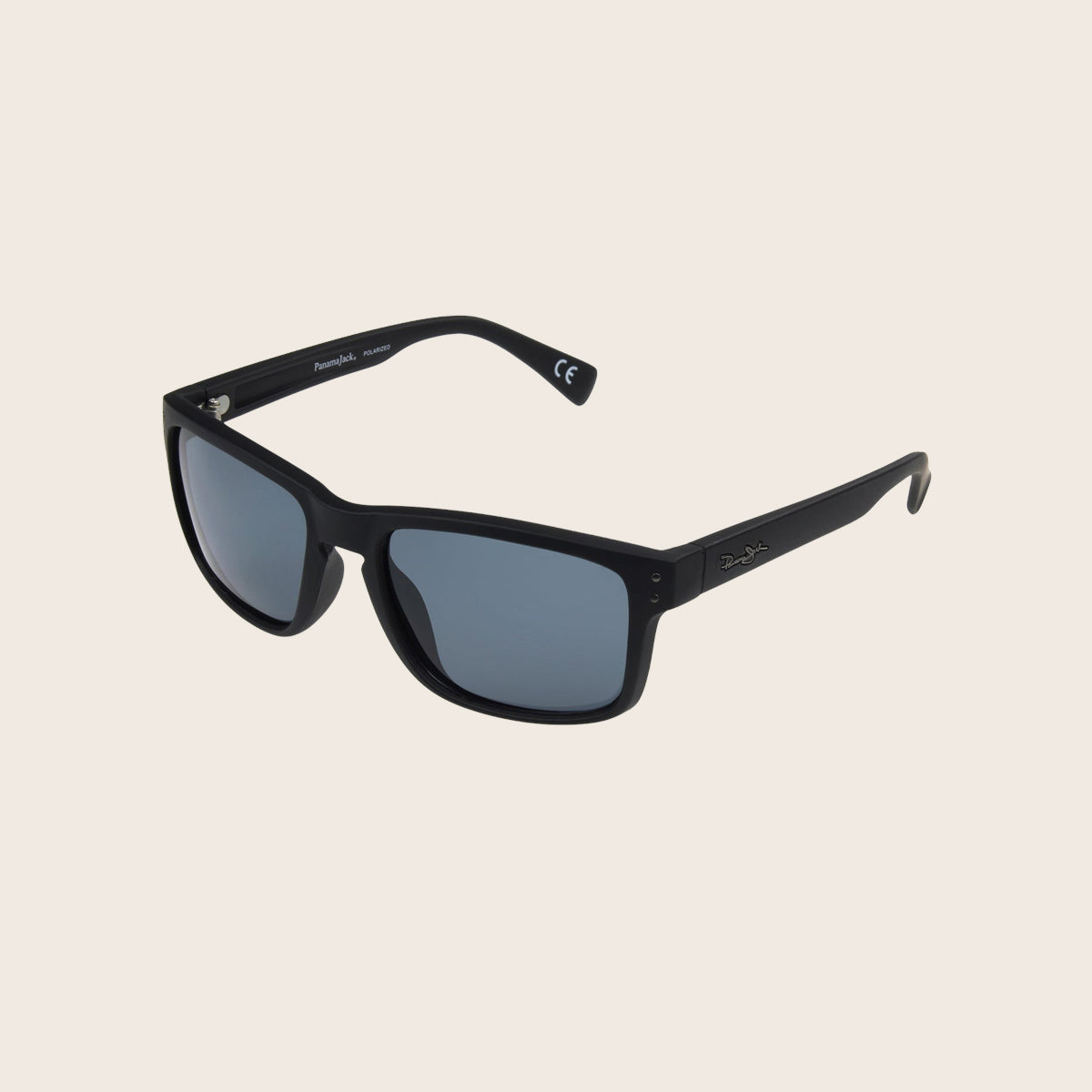 Polarized Matte Black Classic Sunglasses