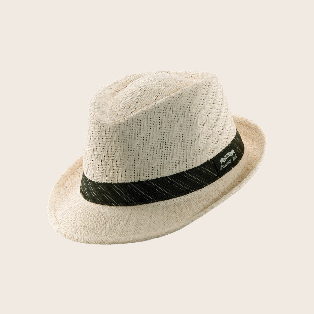 Striped Band Fedora Hat
