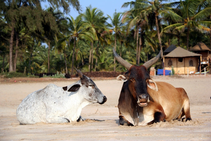 7 Unusual Beaches