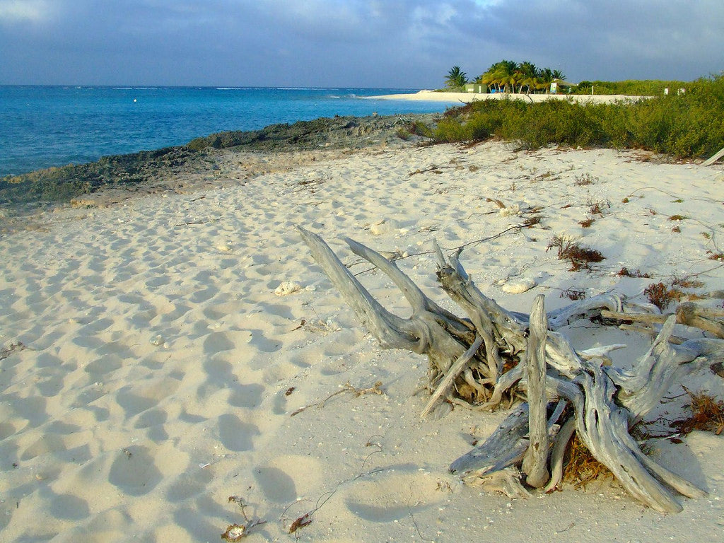 Day Sailing to Prickly Pear Cays in the Caribbean