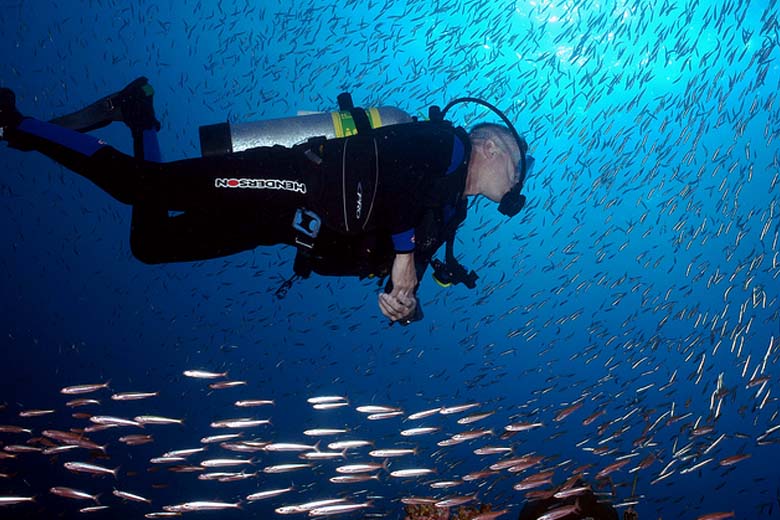 “Flower Garden” Marine Sanctuary: Prepare To Be Amazed