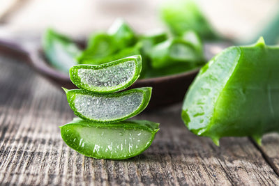 Aloe Vera Benefits for the Skin