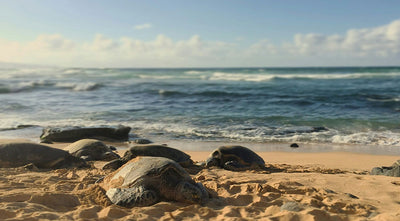 Navigating Native Wildlife at the Beach