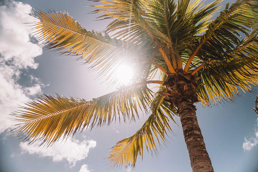 Everything You Need to Know About the Summer Solstice