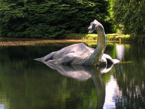 Sea Monsters from Across the World