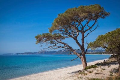 10 Most Beautiful Beaches of France