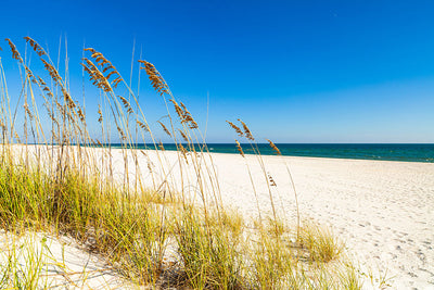 Top 5 Secluded Beaches in Florida: Where to Go to Beat the Crowds