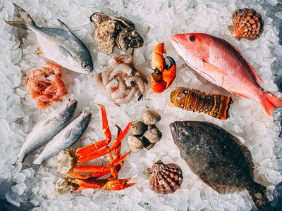 Where to Sample the Best Seafood in the U.S.