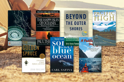 7 Beach Reads of a Different Sort