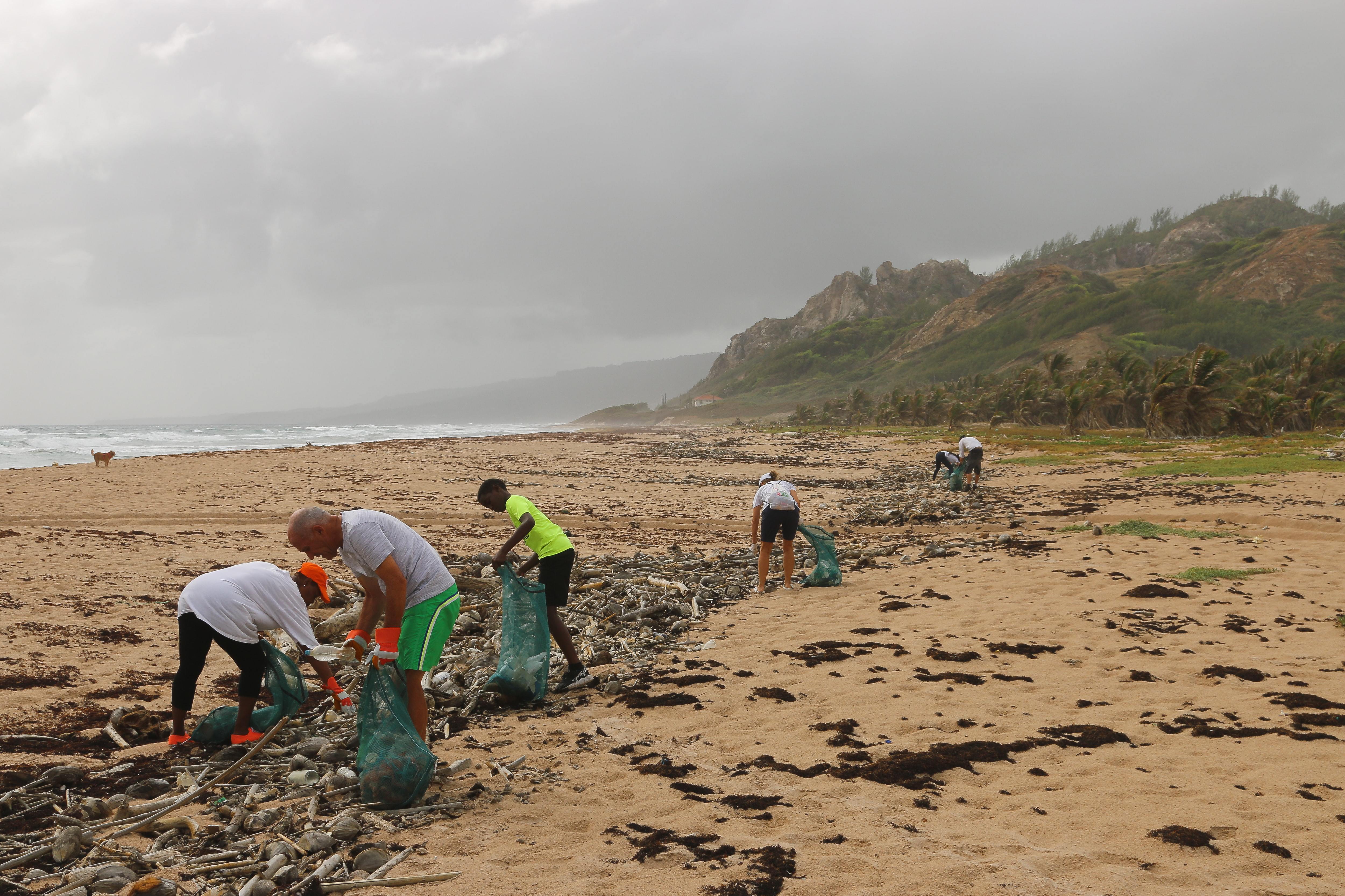 Spotlight on Beach Voluntourism: 3 Organizations that Help You Give Back