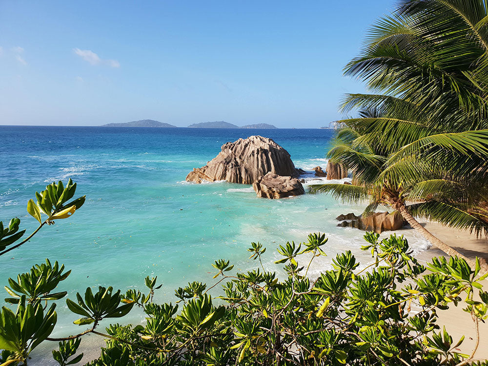 8 Great Books for an Island Adventure