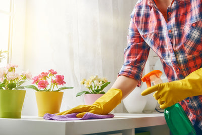 5 Spring Sprucing Tips for Your Home
