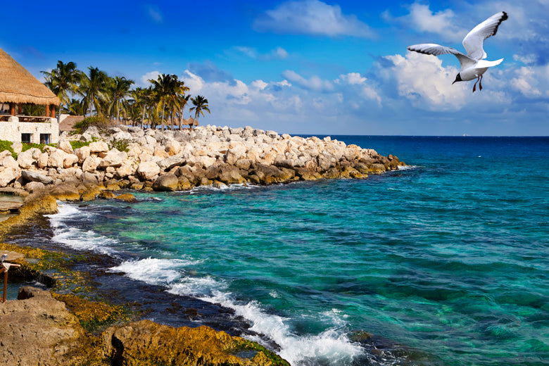 Magical Cozumel