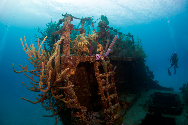 Diving the Bay Islands of Honduras