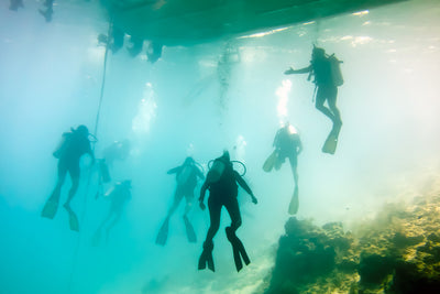 4 of the Best Caribbean Dive Destinations