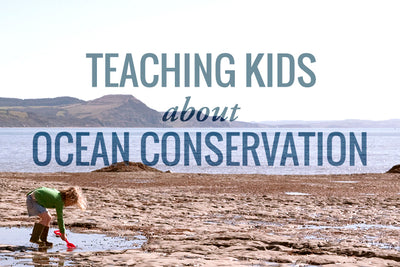 6 Ways to Teach Your Kids About Ocean Conservation