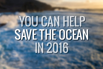 10 Ways You Can Save the Sea in 2016