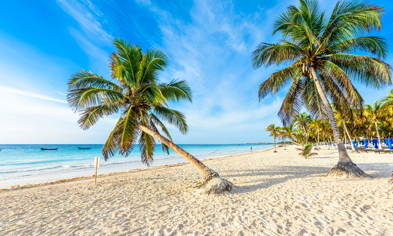 New Year, New Beach: 5 of the Best Beaches to Visit In 2023