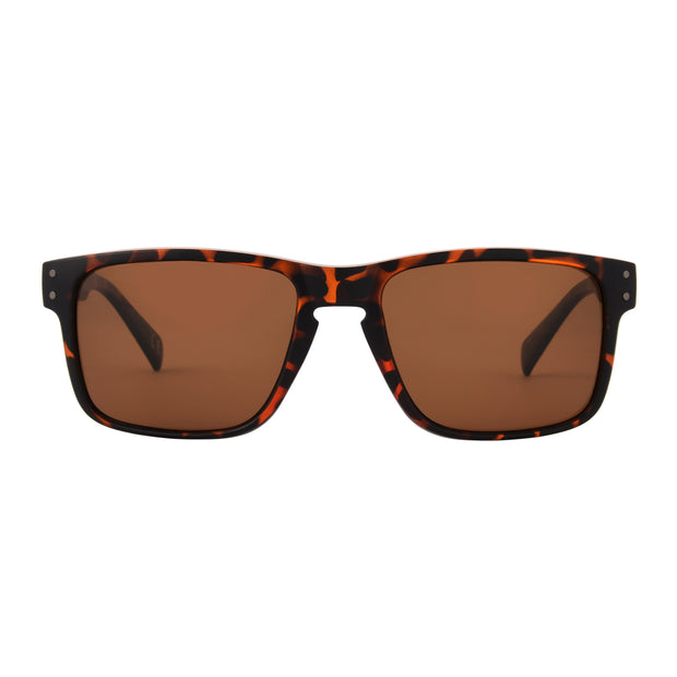 Polarized Brown Tort Classic Sunglasses