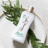 Panama Jack Aloe Moisturizer Body lotion bottle with green leaves on a white plate