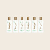 Aloe Moisturizer Lotion