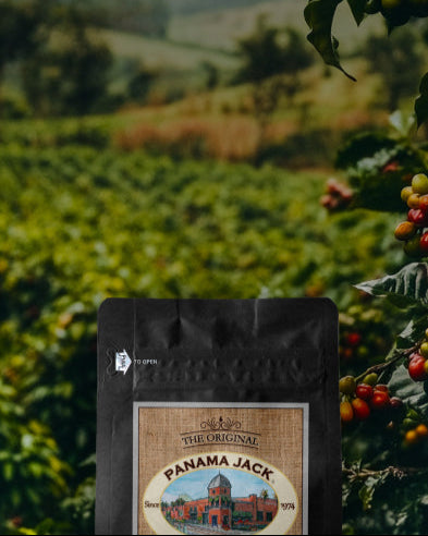 Header Bkg.jpg__PID:4abf77e2-bc0e-4125-a945-12268d5039aa