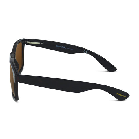 Polarized Shiny Classic Sunglasses