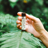 Dual Pack - Dreamsicle & Vanilla Lip Balm SPF 45